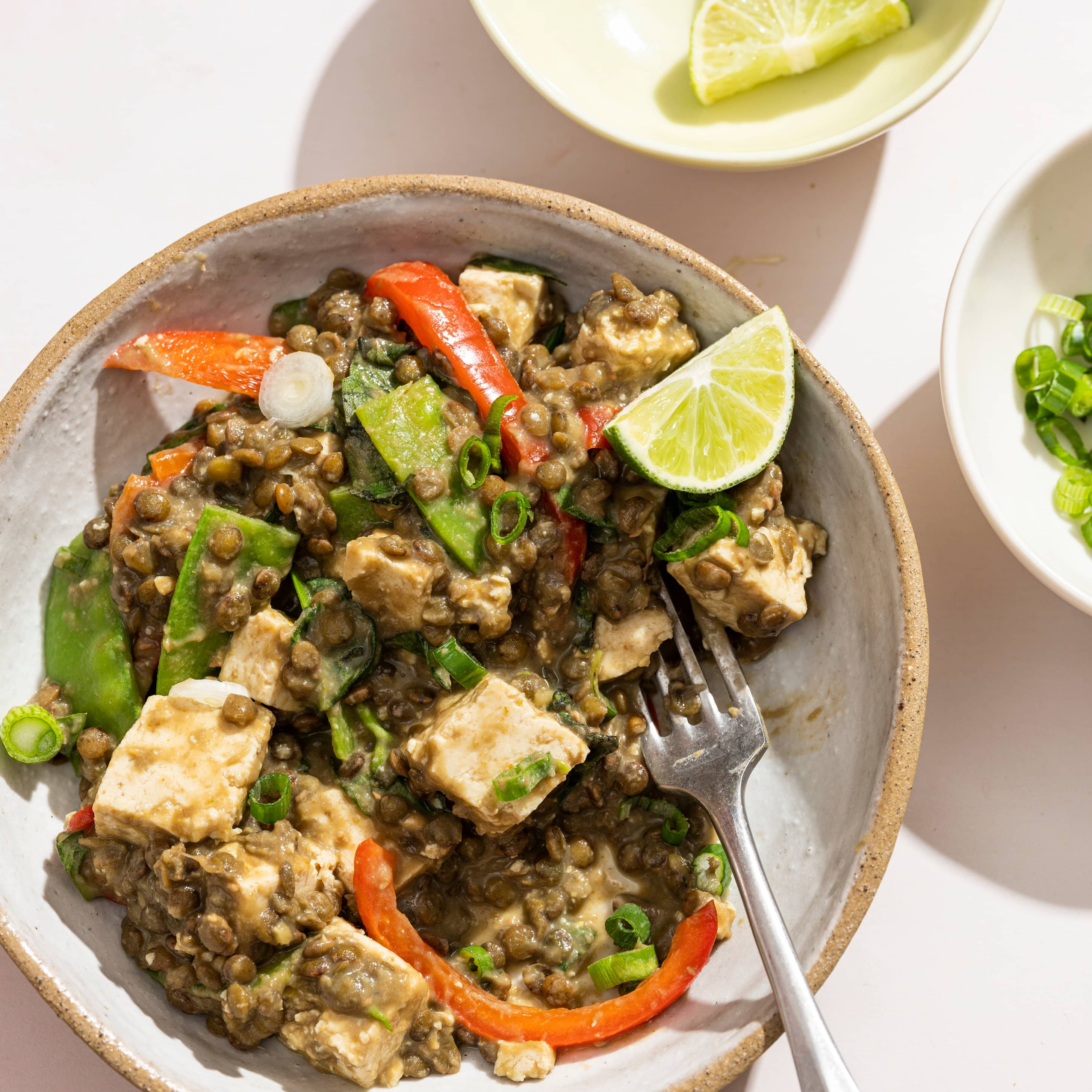 Instant Pot Braised Lentils and Tofu with Thai Green Curry