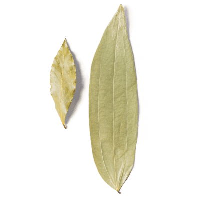 Cook S Illustrated Recipes That Work We Test It All