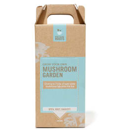 14516 sil mushroomgarden backtotheroots