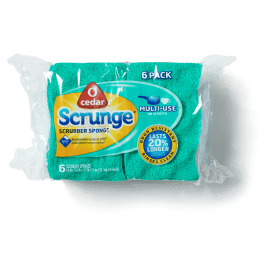 best sponge