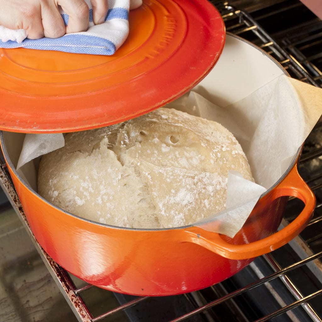 NoKnead Bread 2.0 Cook's Illustrated