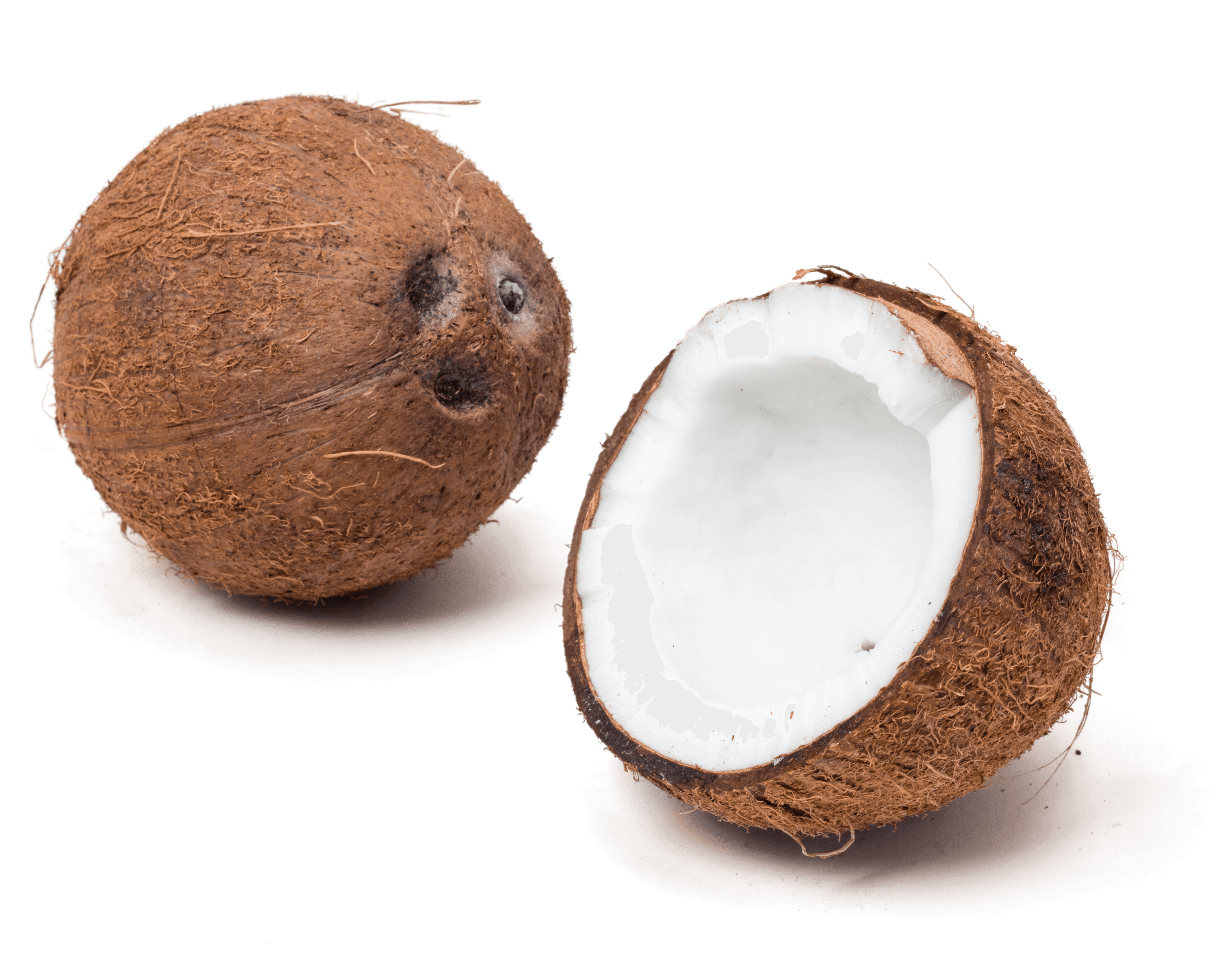 Getting to Know: Coconut Products Cook #39 s Country
