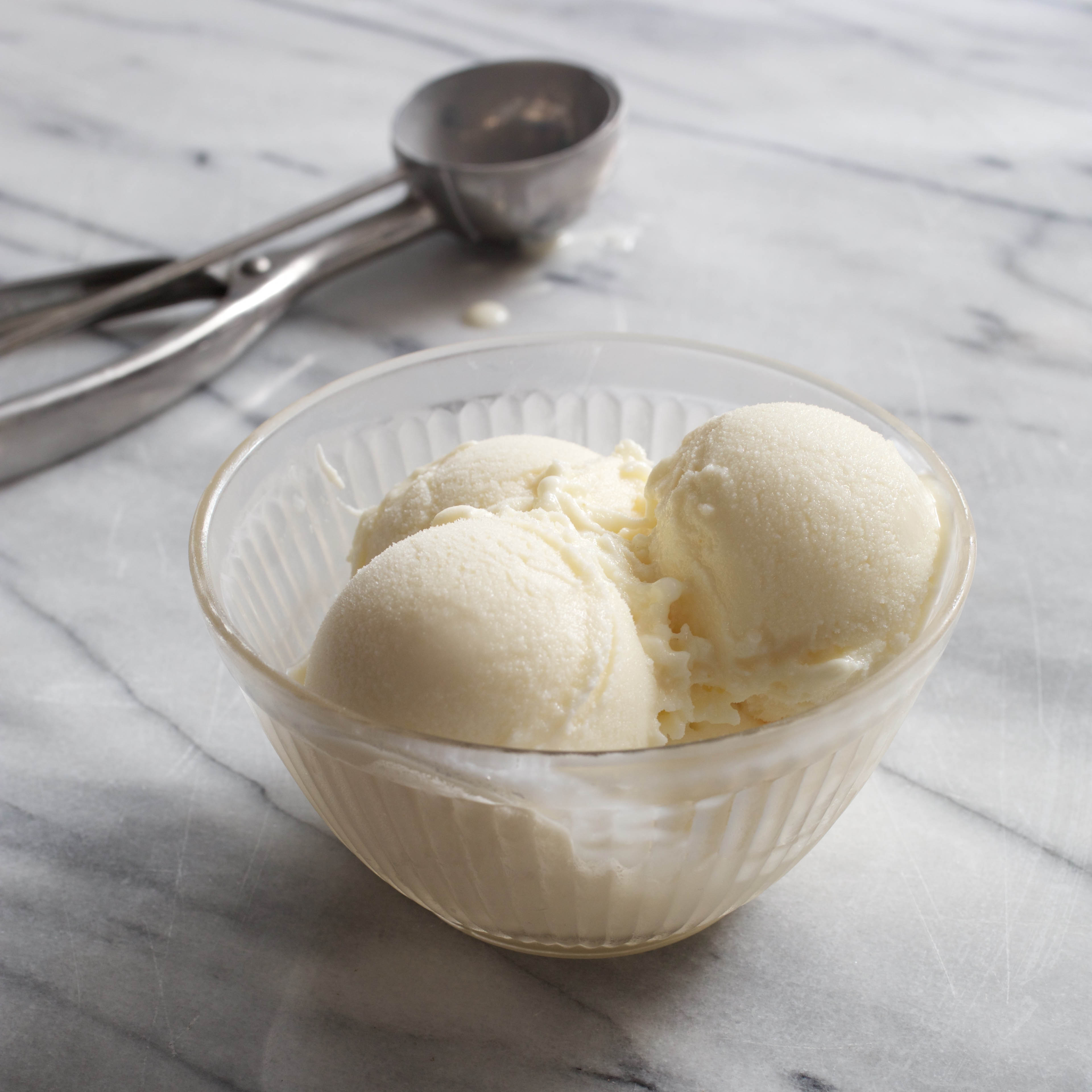 The Best Homemade Frozen Yogurt Cook's Illustrated