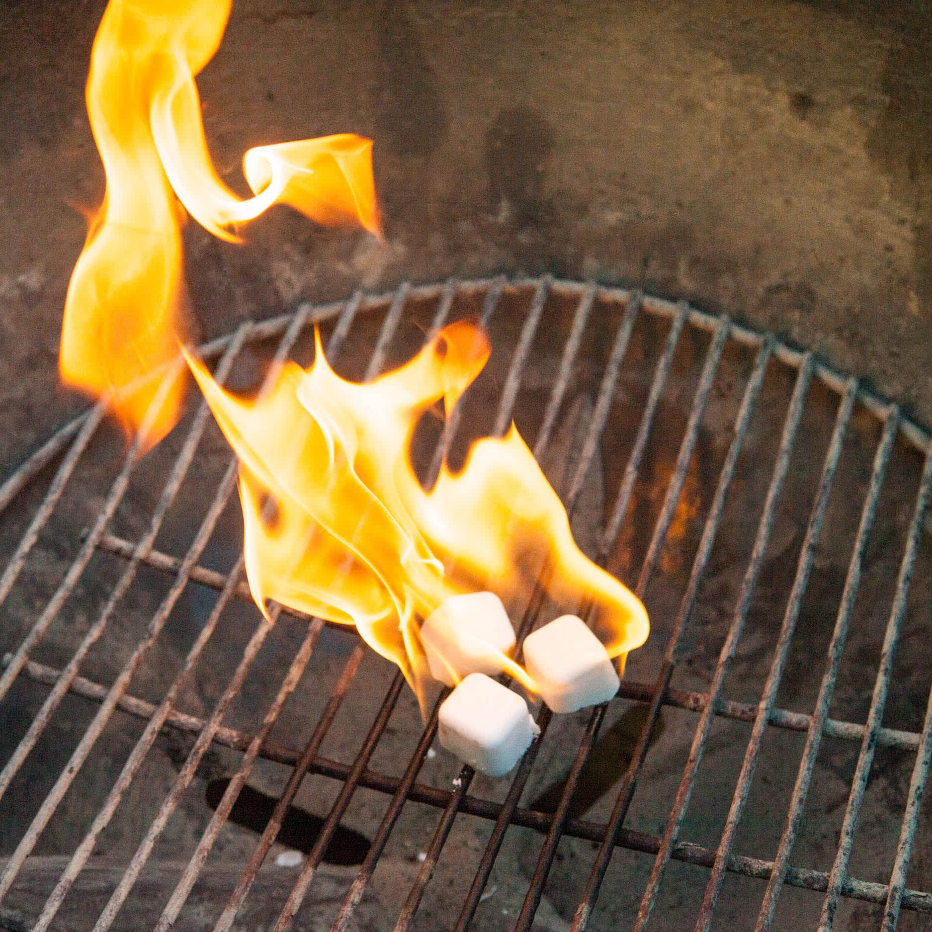 Testing Charcoal Fire Starters