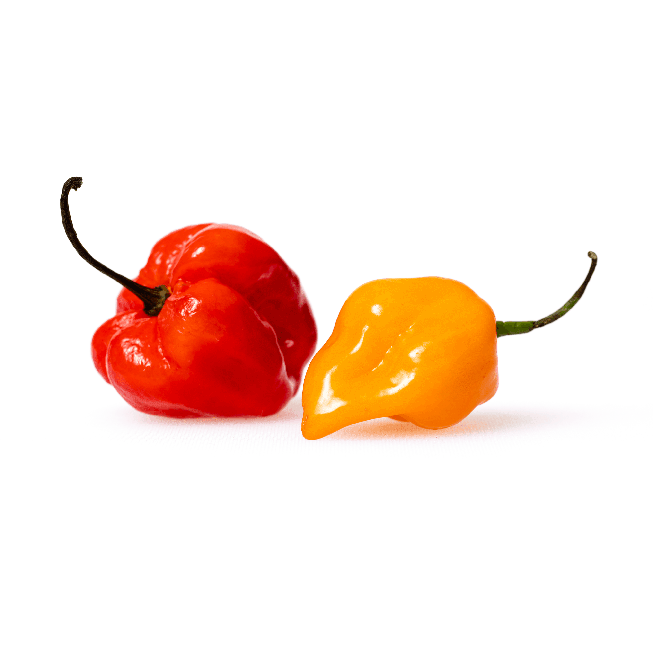 Habaneros and Scotch Bonnets: What's the Difference ...