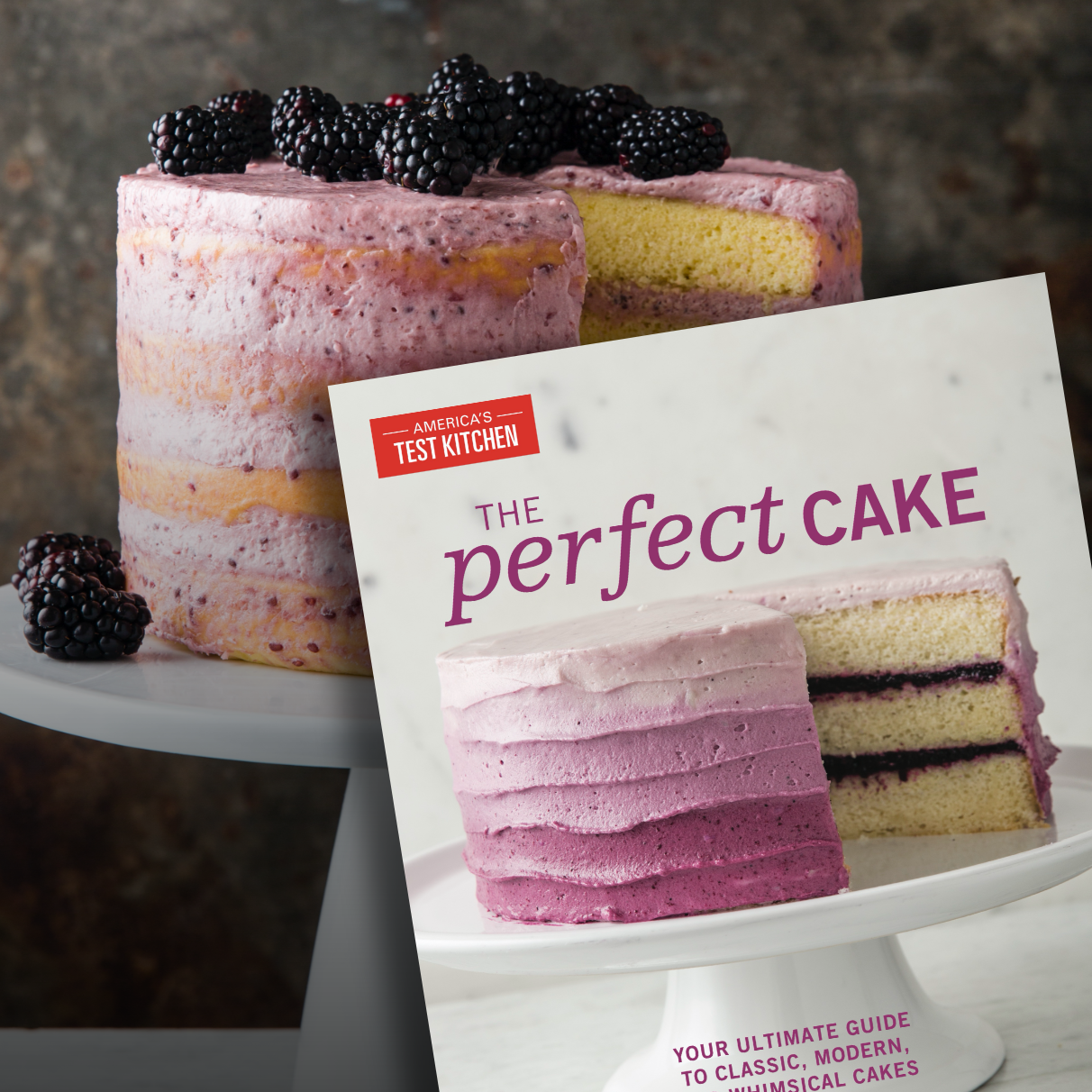 Home Cake Decorating Kit  Shop America's Test Kitchen