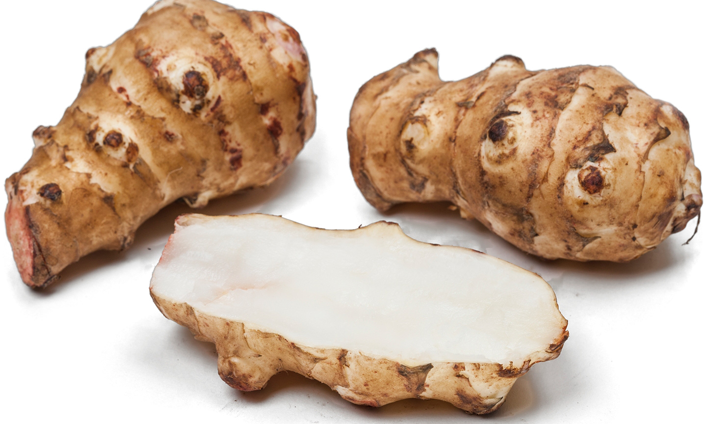 Image result for jerusalem artichoke