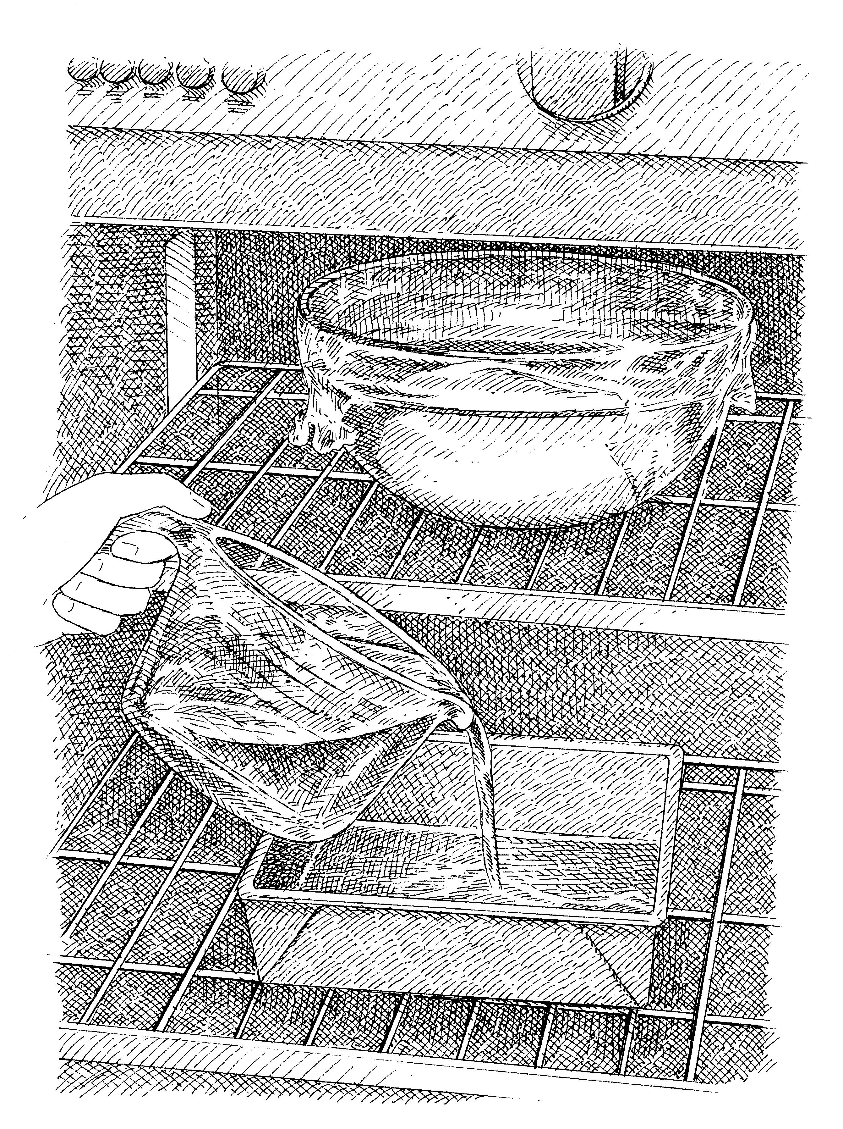 How To Proof Bread In The Oven Cook S Illustrated