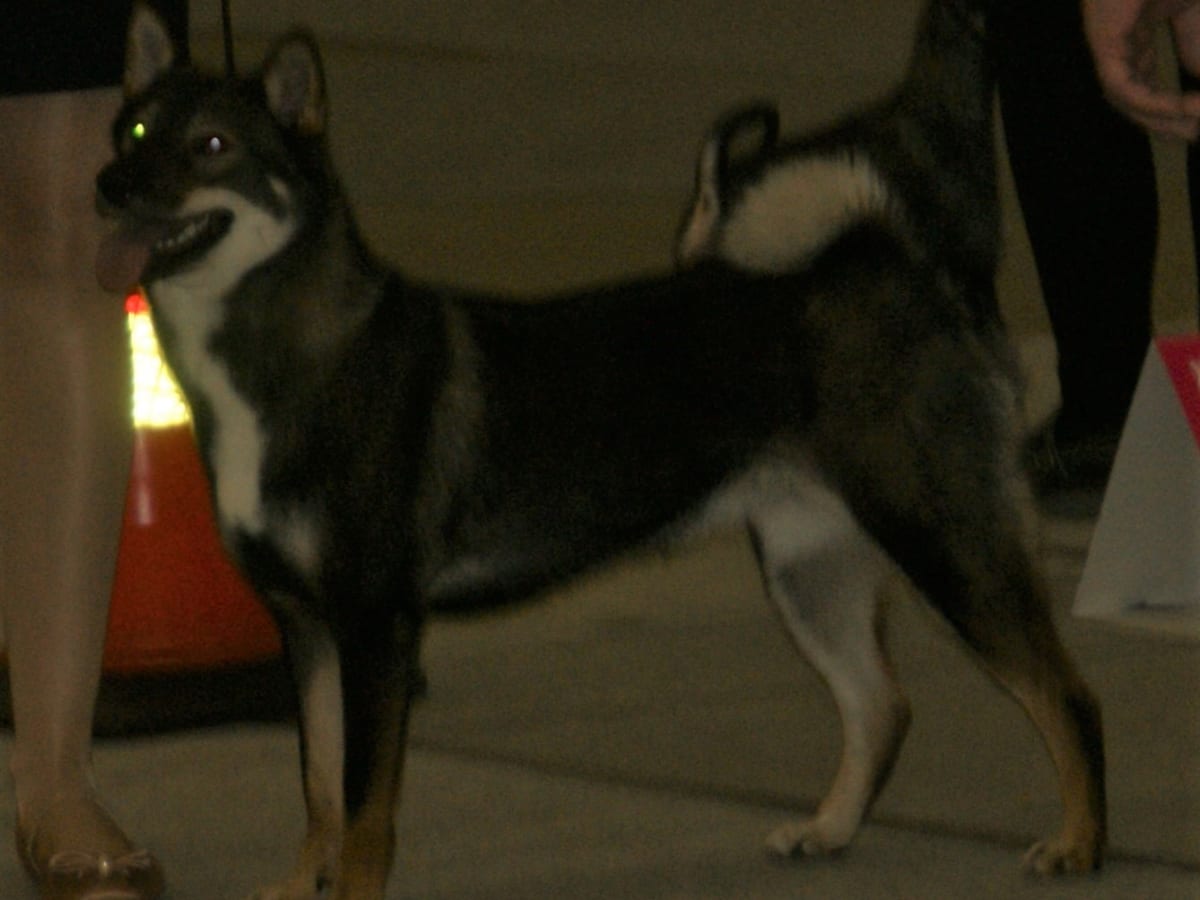 Shikoku, photo 1 of 4