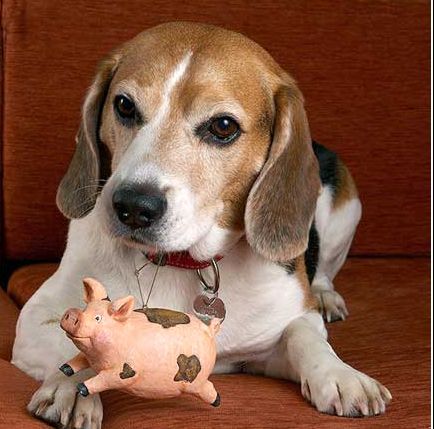 Artois Hound