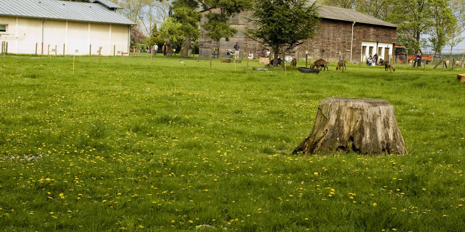 De la nature sauvage à la ferme, sans quitter Paris