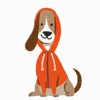 The Hoodie Mascot