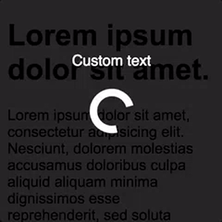 loader-data-text-custom