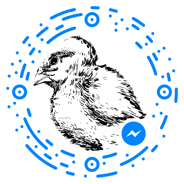 messenger_code_1782353951999287 1