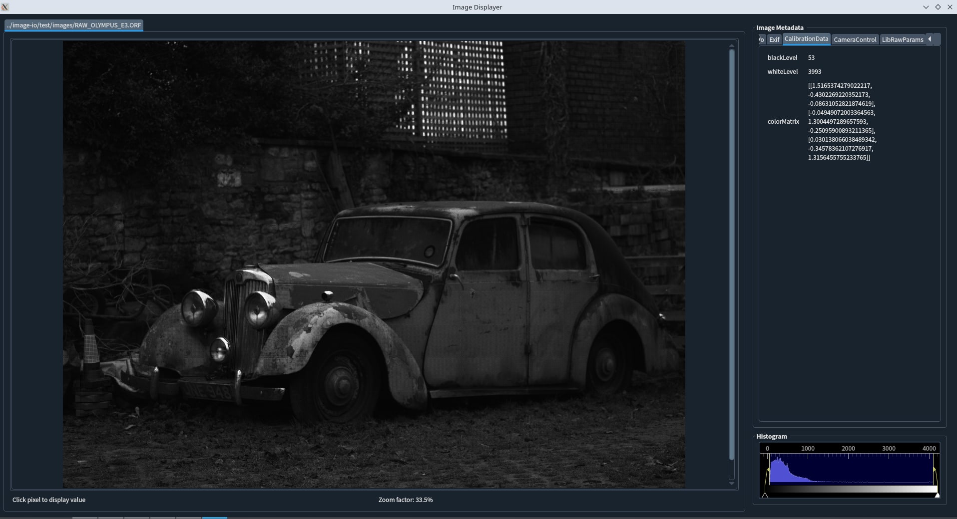 displaye-image RAW image