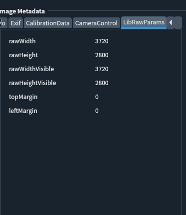 LibRawParams