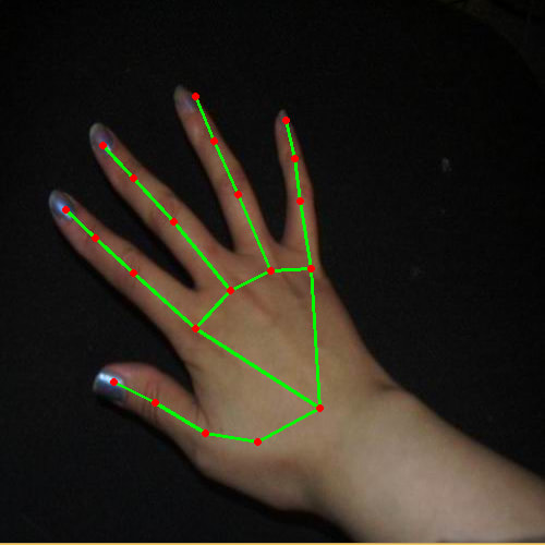 Hand Image