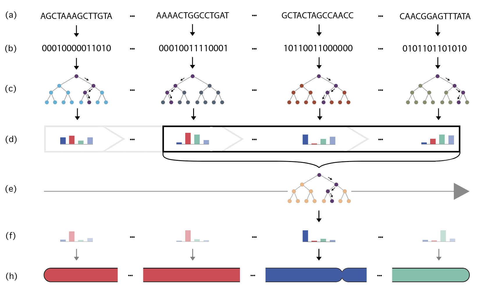 Visualization of the process