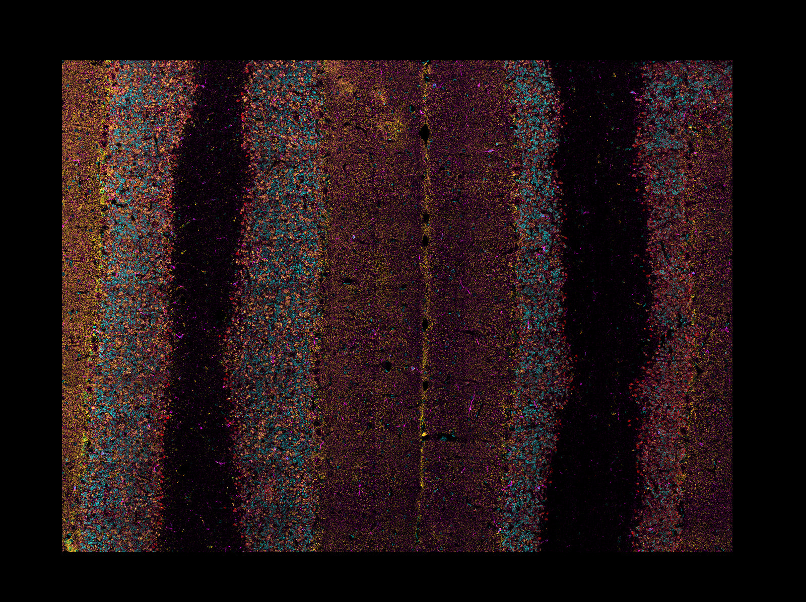 screenshot of a reconstructed / restitched mosaic tile LIF