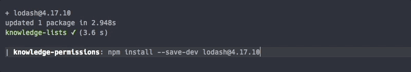 NPM install NPM install