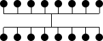 Complete Bipartite Graph Bundled