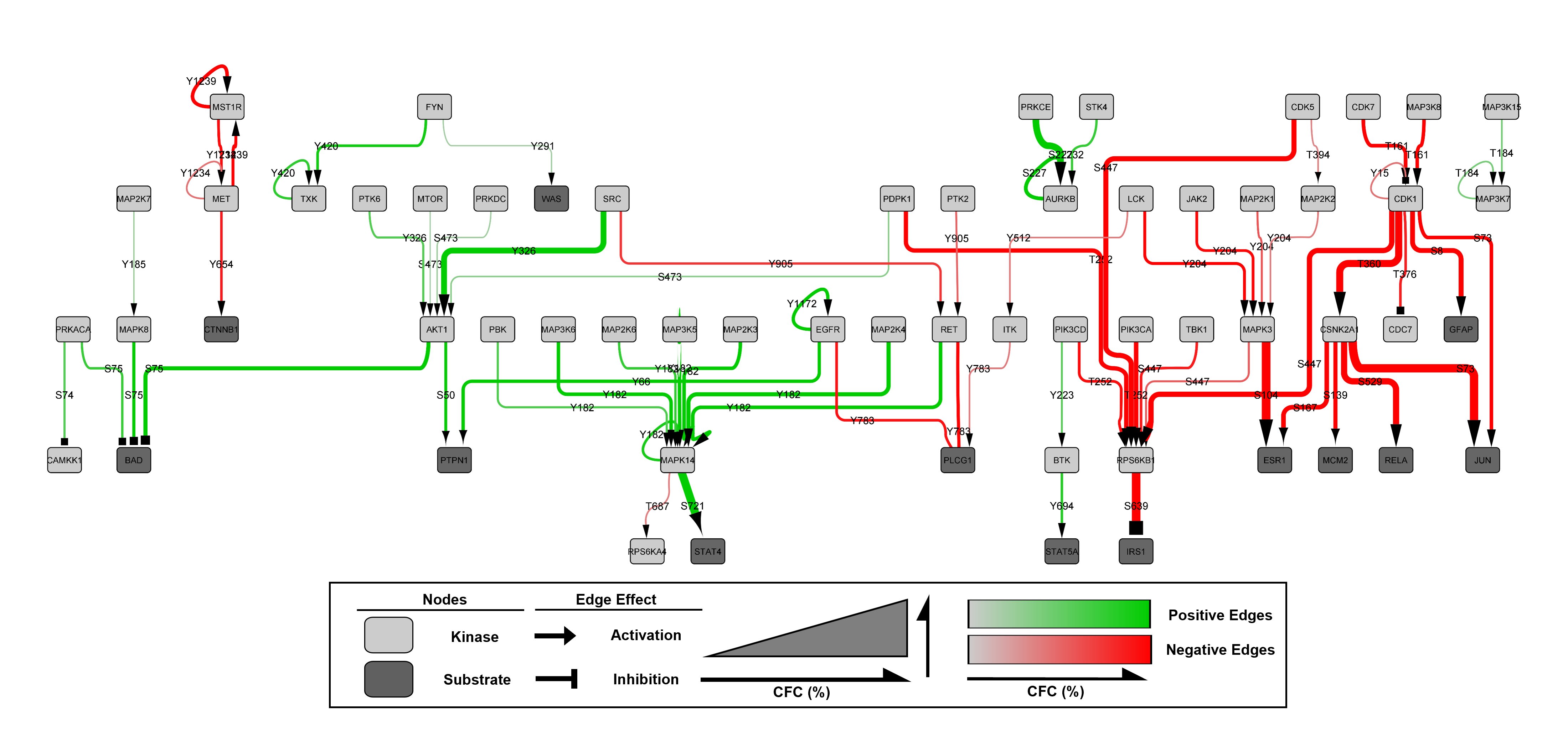 Example image of MAPPINGS output network formatted in cytoscape