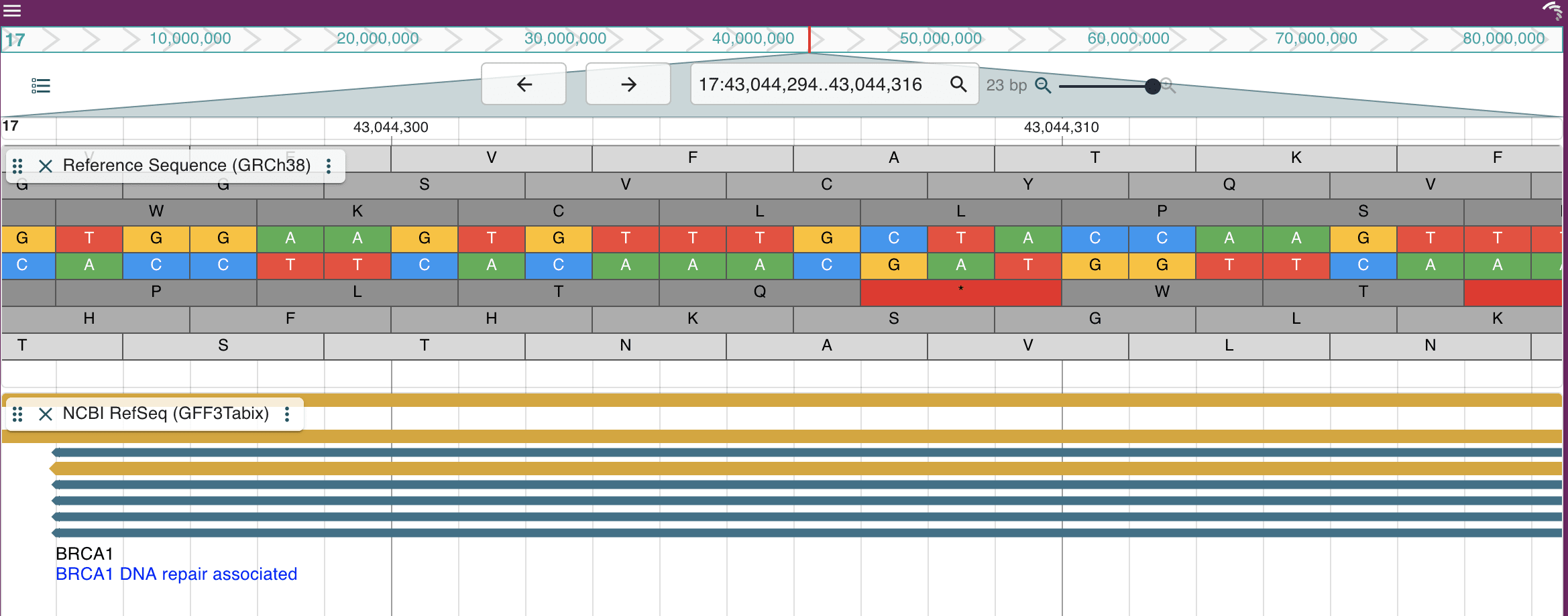 Dash JBrowse LGV configured with human data