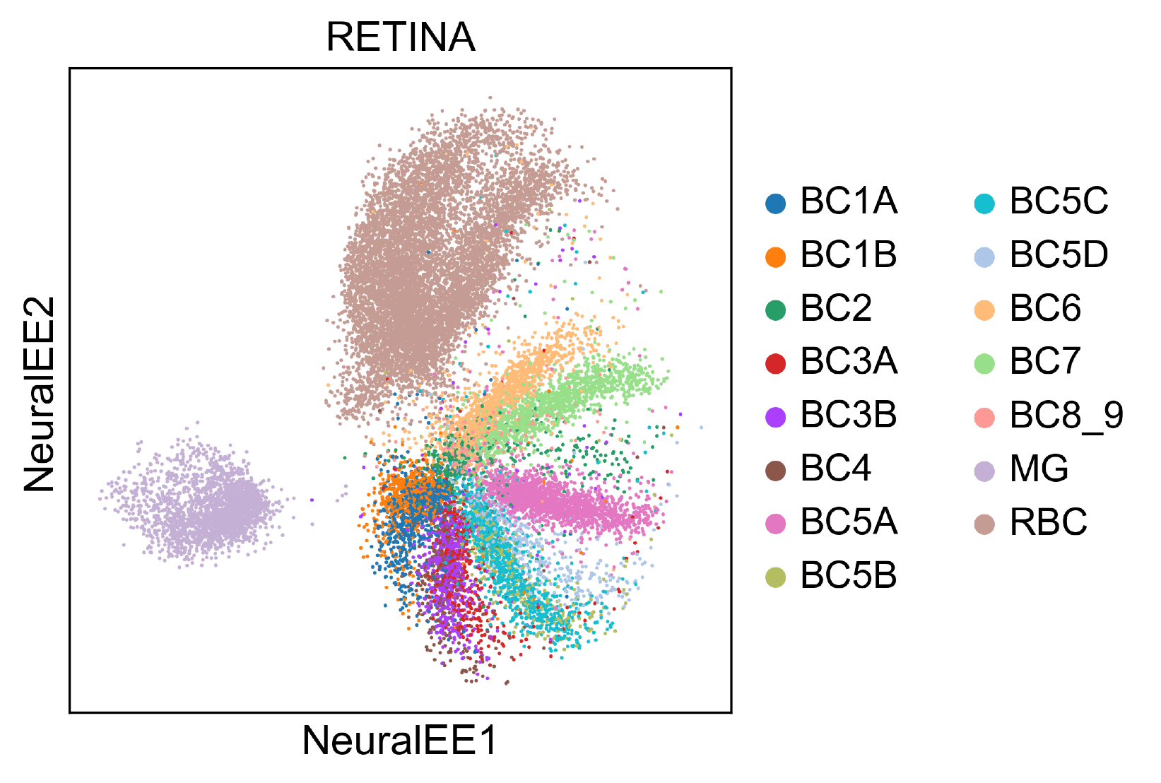 NeuralEE of HEMATO