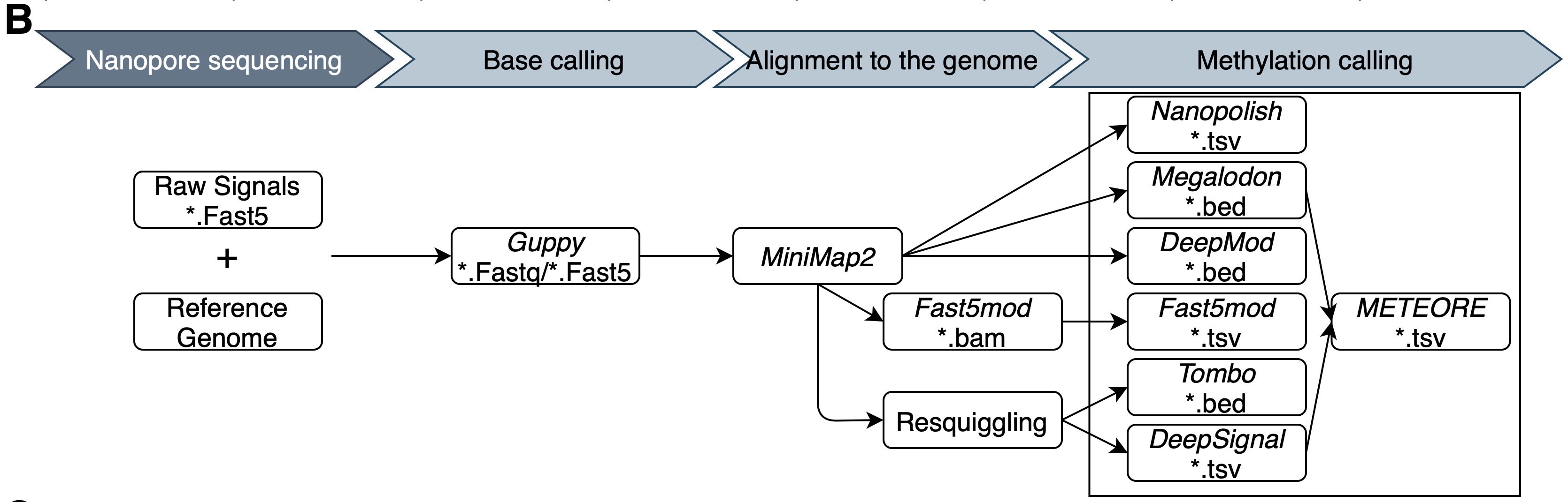 Figure1B