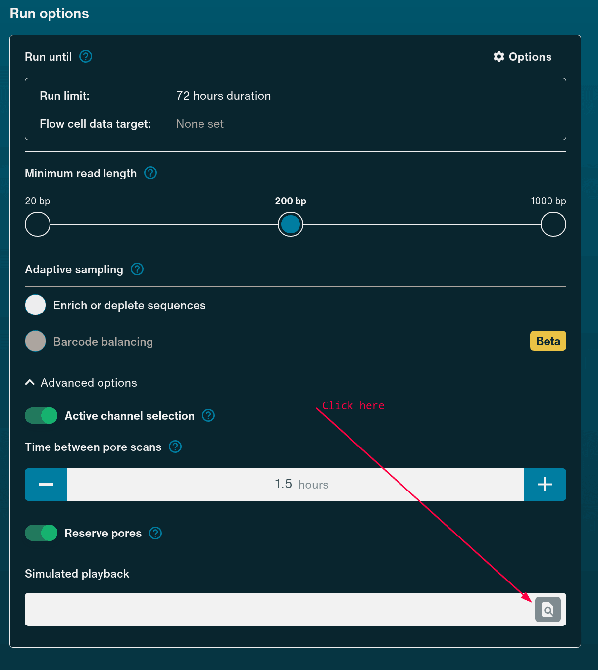 Run Options Screenshot Run Options Screenshot