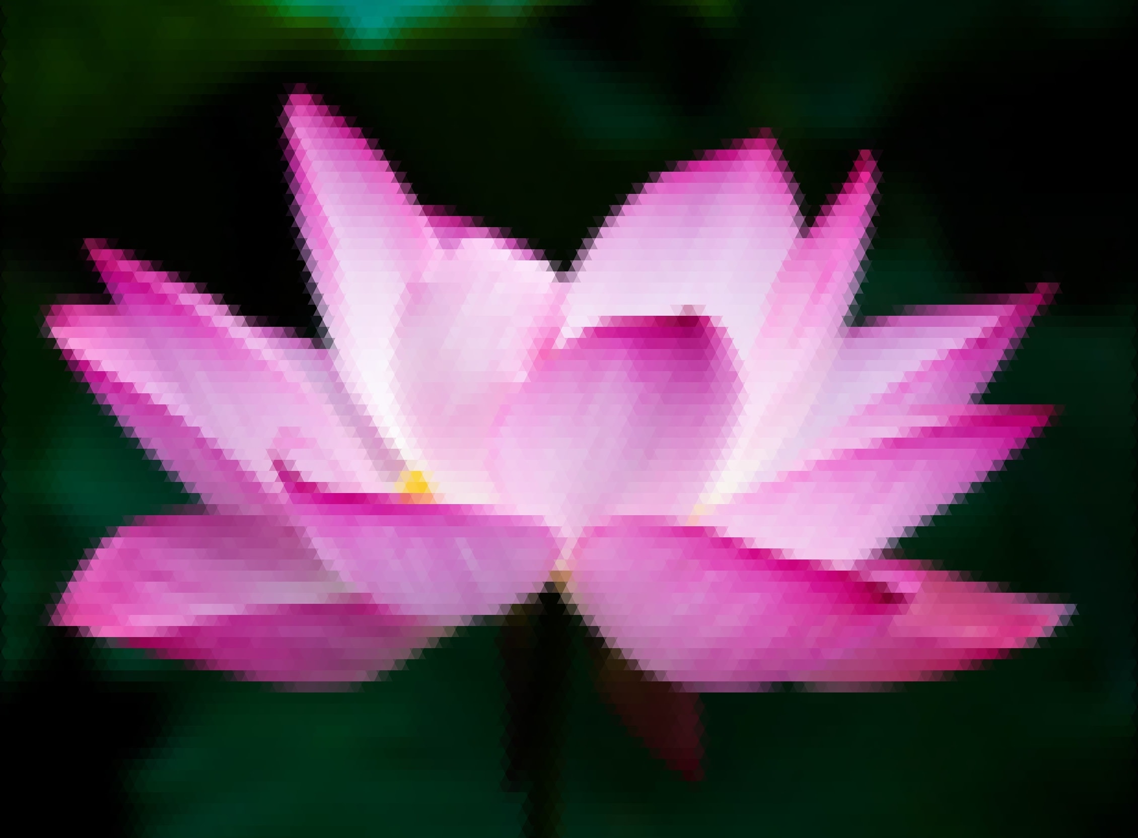 lotus-triangled.jpg lotus-triangled.jpg