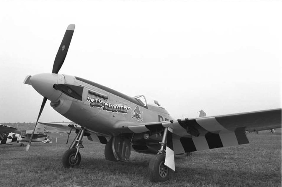 Sample Image Sample Image