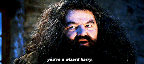 the maintainer does not guarantee this will happen to you Exquisite GIF of Hagrid