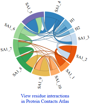 PDB Residue Interactions