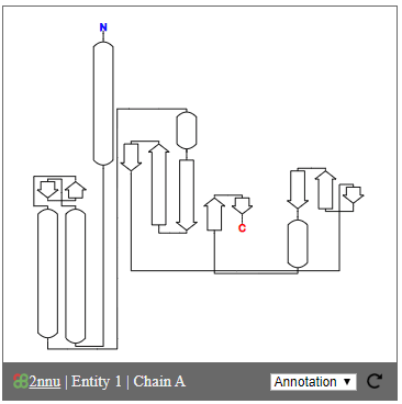 PDB Topology Viewer