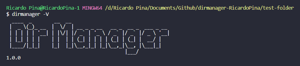Terminal: message showing Dir Manager version