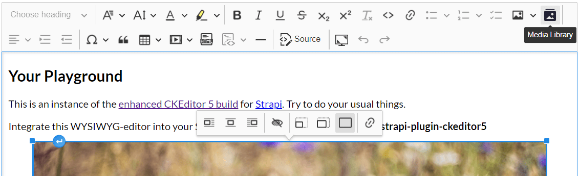 ckeditor5-build-strapi-wysiwyg demo screenshot