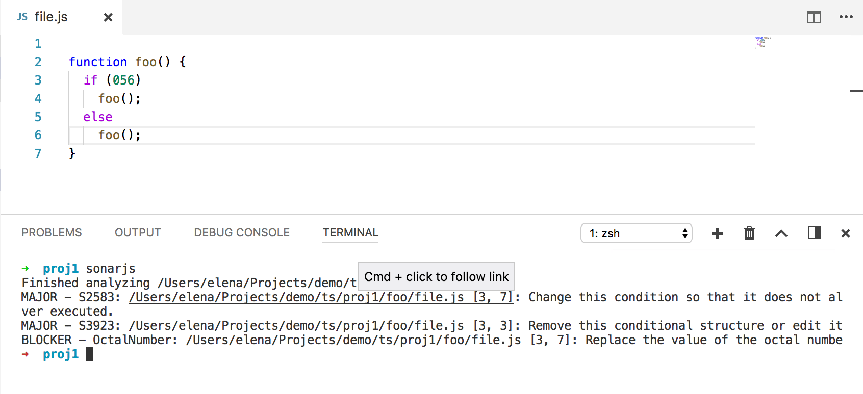 SonarJS in VS Code terminal SonarJS in VS Code terminal