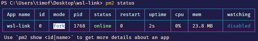 pm2 status display