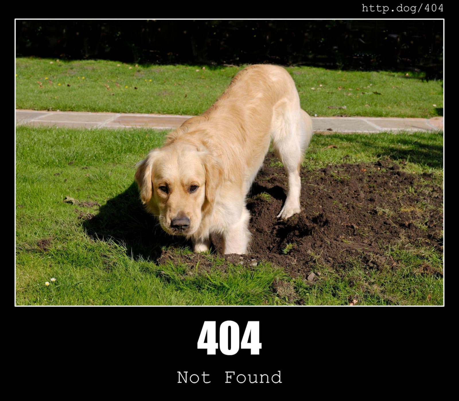 Resource not found.