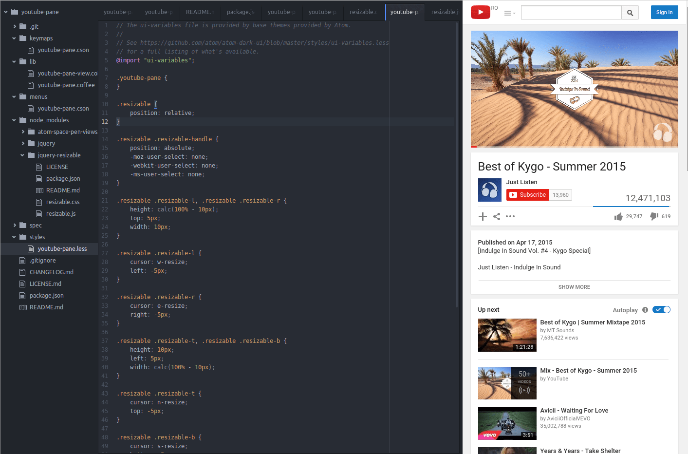 A screenshot of YouTube Pane Package