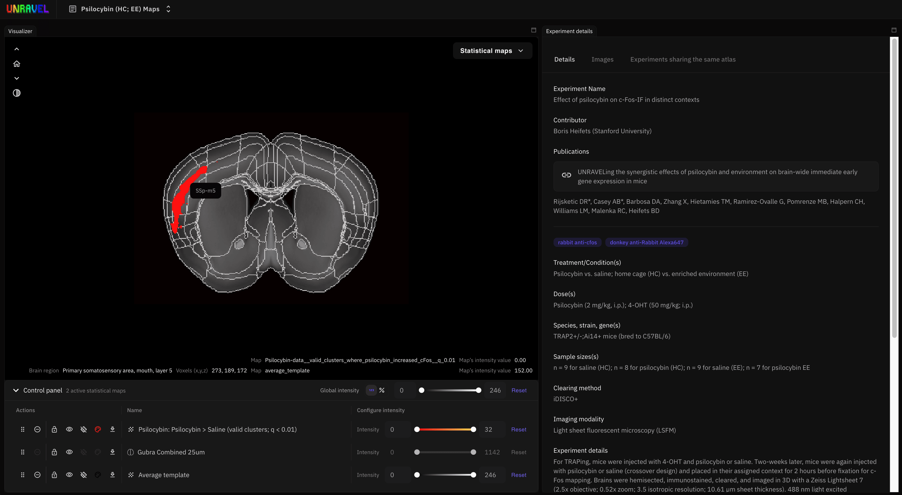 UNRAVEL visualizer