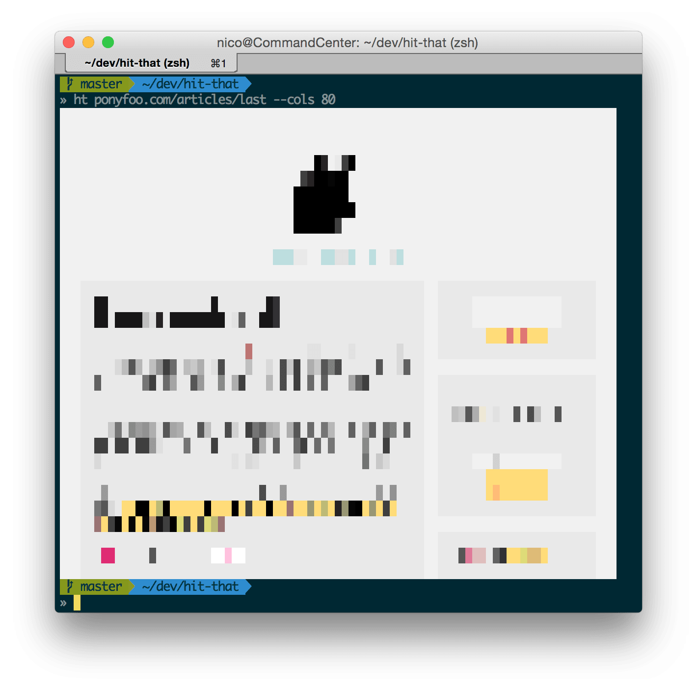 Pony Foo rendered as an image in terminal