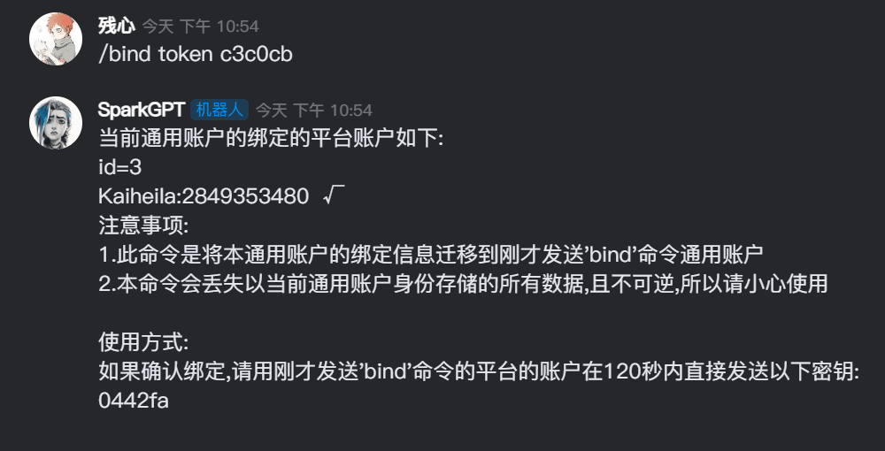 使用discord发送bind命令和token