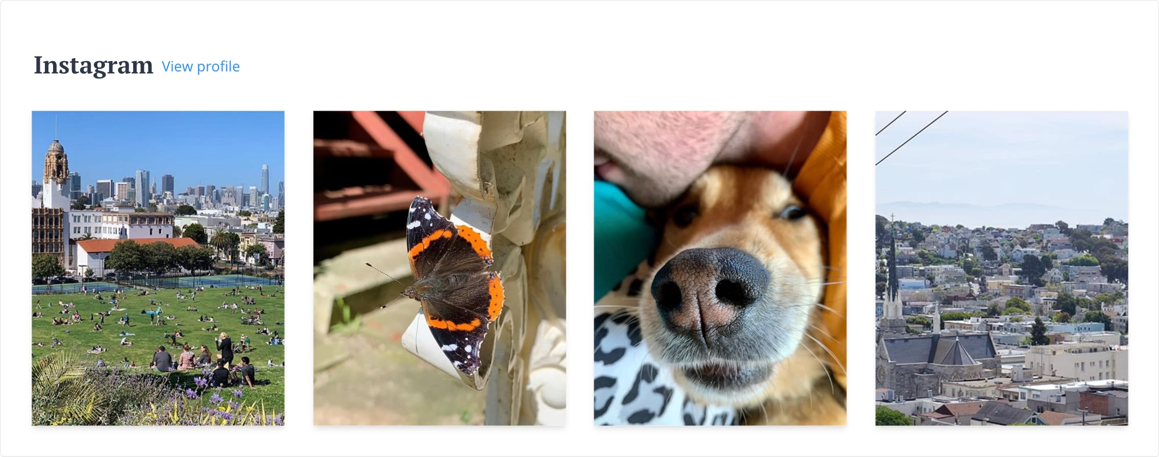 Screenshot: Instagram