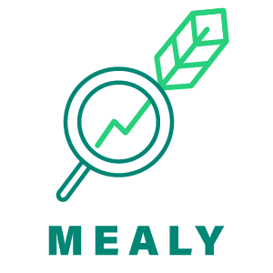 Model Error Analysis Workflow