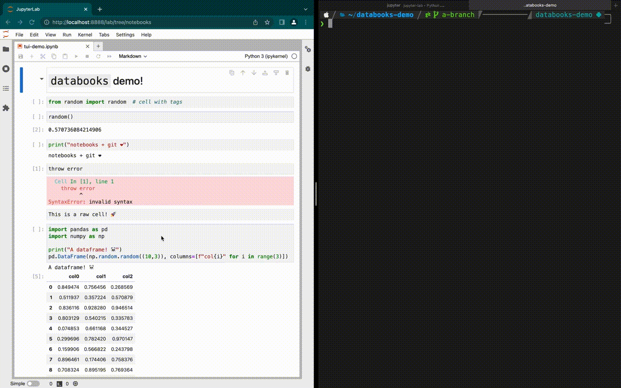 databooks diff demo