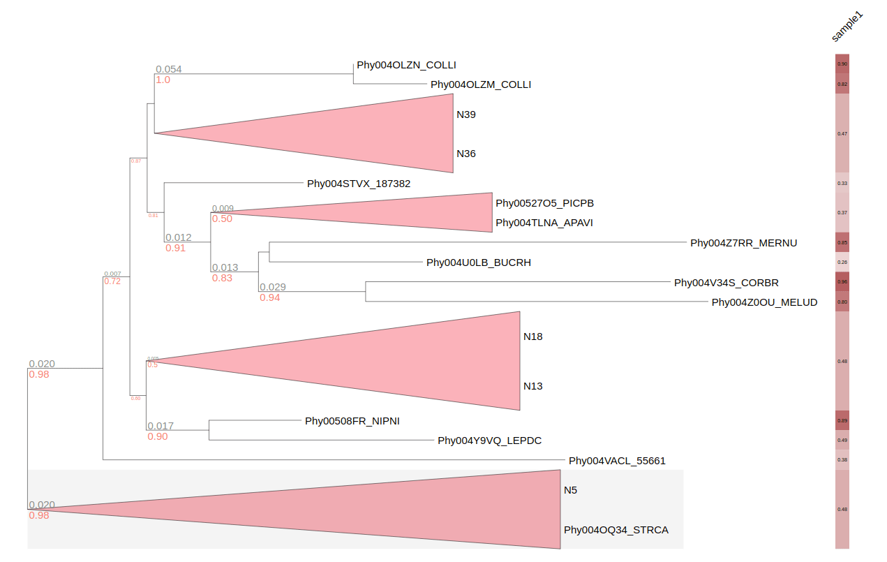 collapsed_numeric