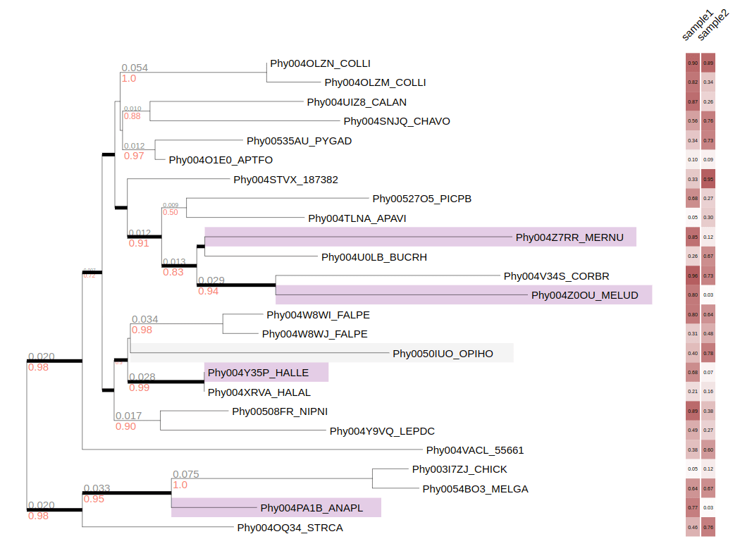 highlighted_and