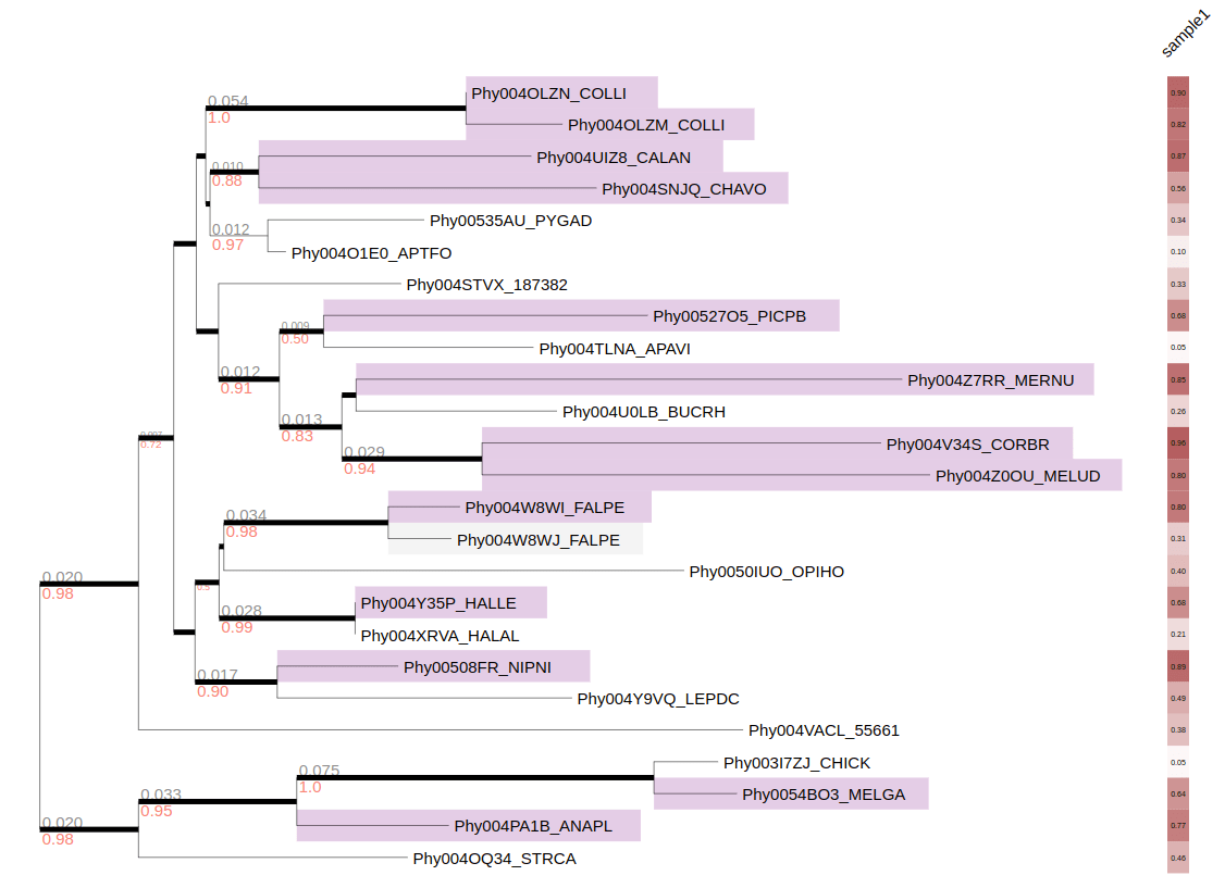 highlighted_numeric